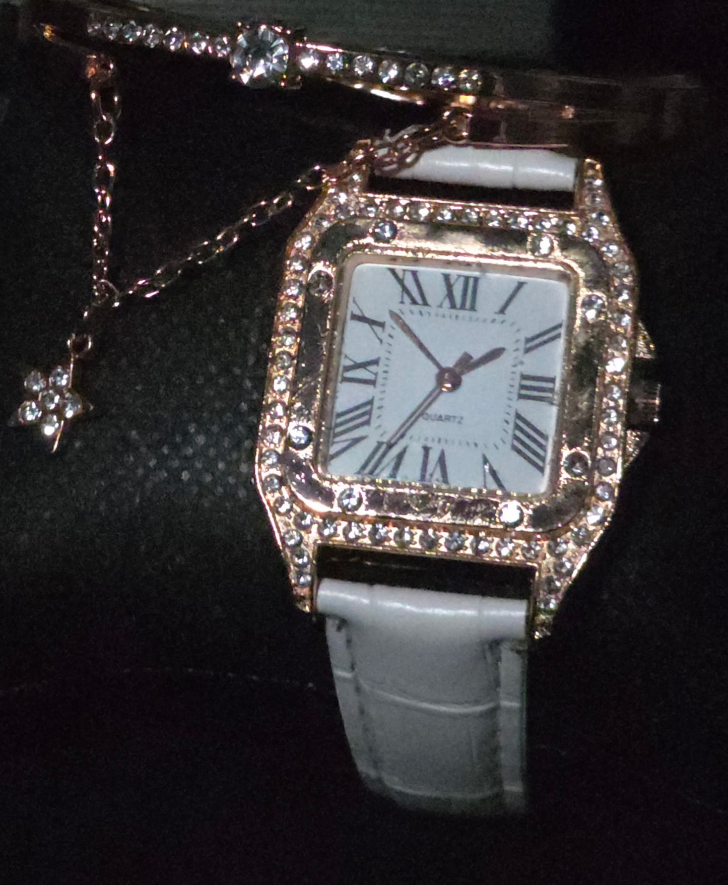 Watch Vault⌚️